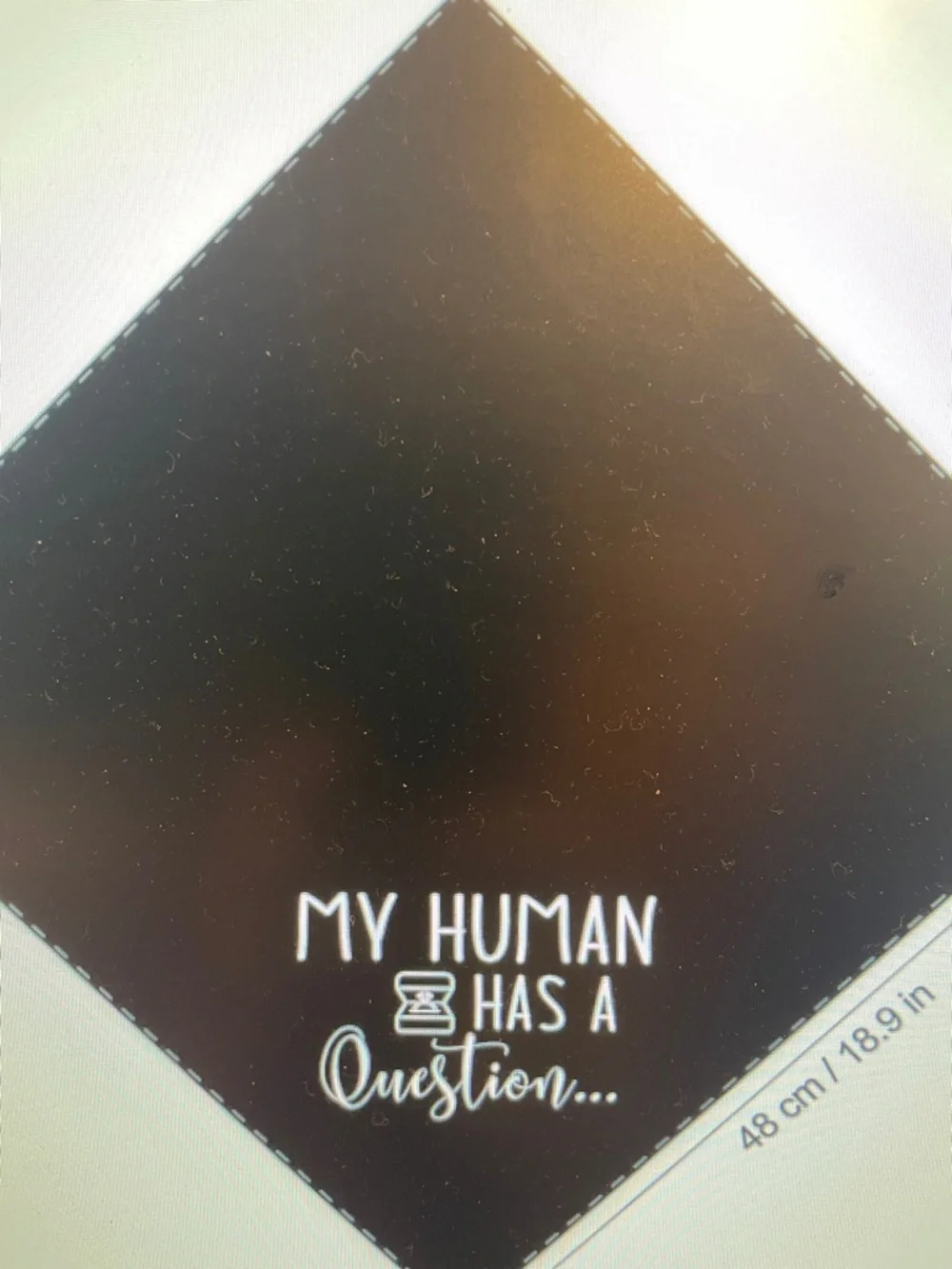 Pet Proposal Bandana